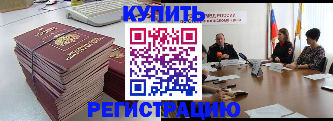 временная регистрация надежно в Камчатской области